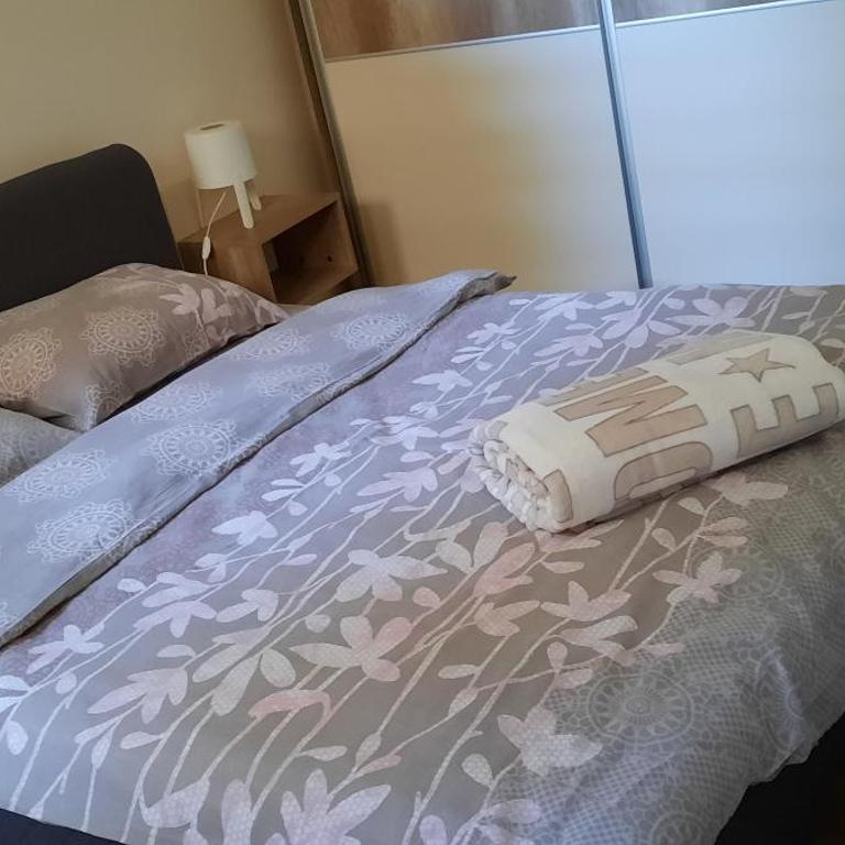 Vila Srna apartman Vekic Zlatibor - One-Bedroom Apartment - 17