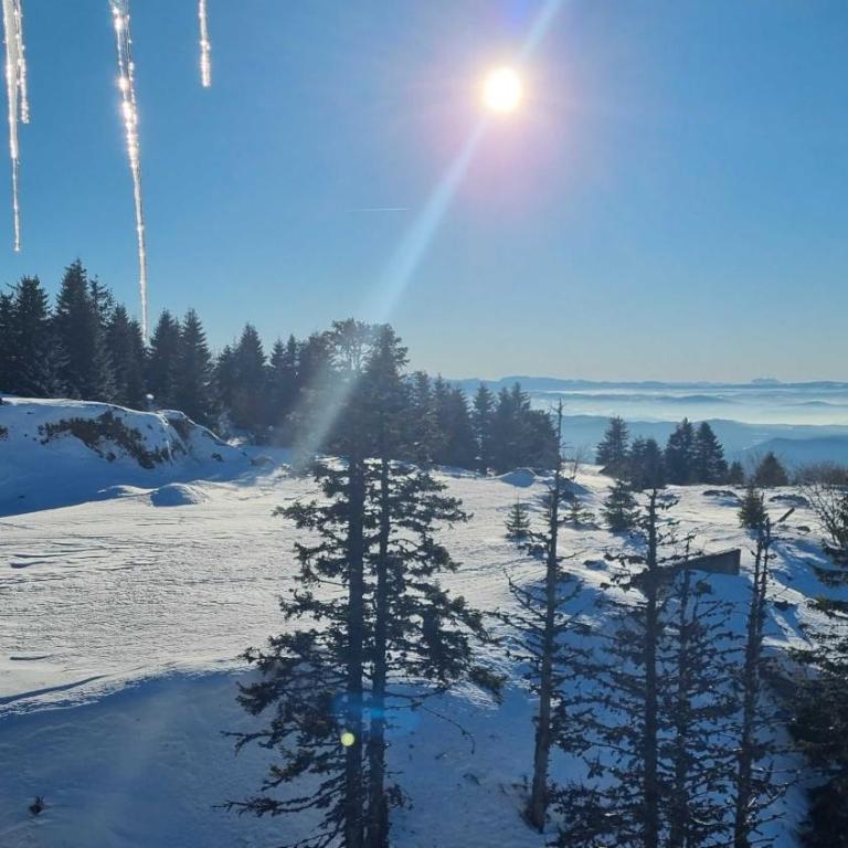 FEMI Kopaonik Apartment, Župa Aparthotel, Kopaonik Center - Apartman sa 1 Spavaćom Sobom - 24