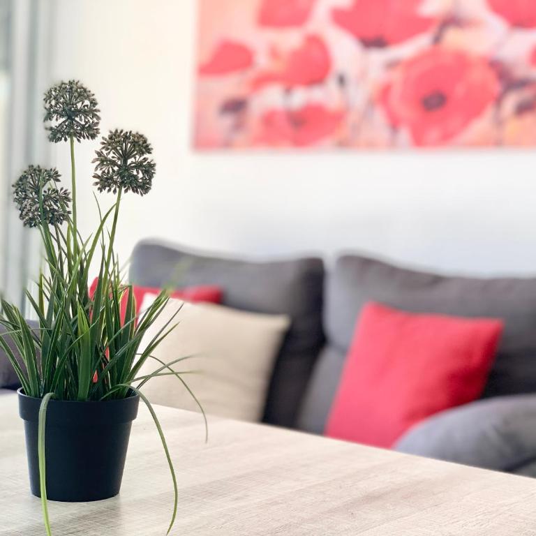 Apartamentos Zaragoza - Apartamento con vistas al jardín - 6