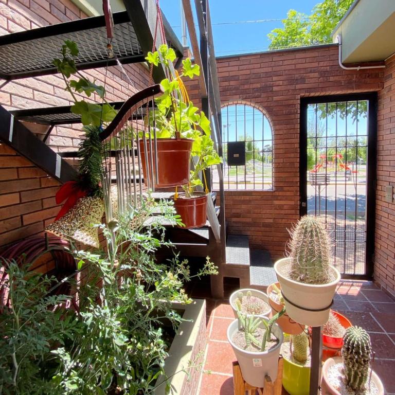Depto para turistas - Mago Blanco - Apartamento de 1 dormitorio - 12
