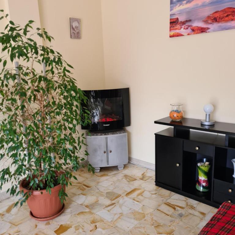 Casa dell amore 2 - Appartement 2 Chambres - 5
