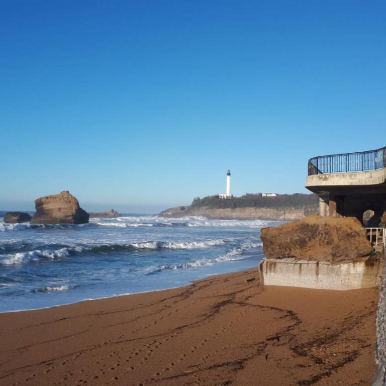 Studio et piscine sur la grande plage - Appartamento con 1 Camera da Letto - 12