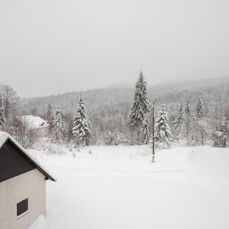 Apartman Kopaonik Despotovic - Apartment with Mountain View - 11