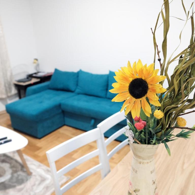 Apartman Venezia - Apartman sa 1 Spavaćom Sobom - 14