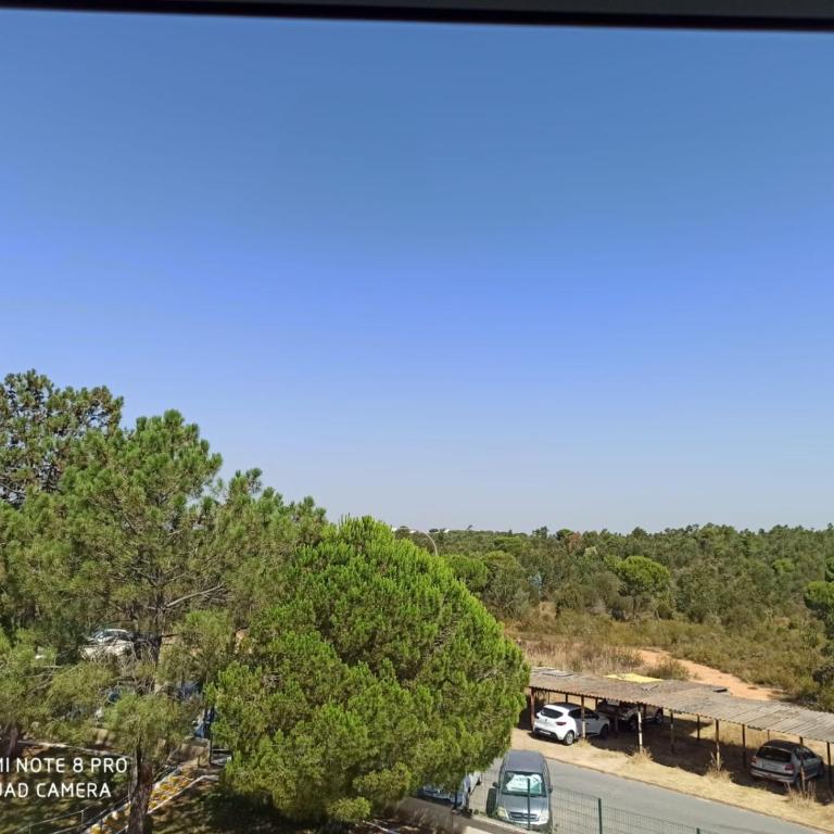 APARTAMENTO EN ROMPIDO con piscina, chiringuito y pistas - Apartamento de 3 dormitorios - 8