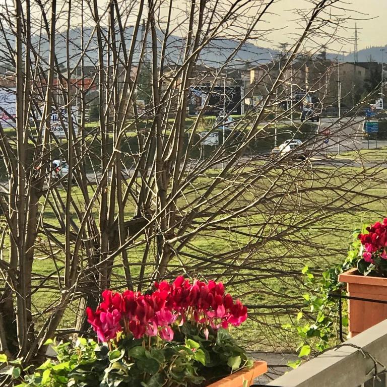 MGM HOME AREZZO - Appartamento con 2 Camere da Letto - 14