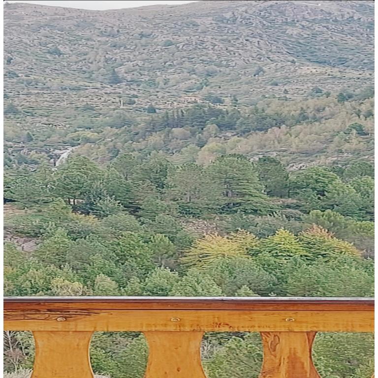 La Ponderosa Cumbrecita - Apartment with Mountain View - 4