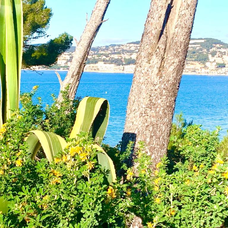 La plage, calme et jardin - One-Bedroom Apartment - 24