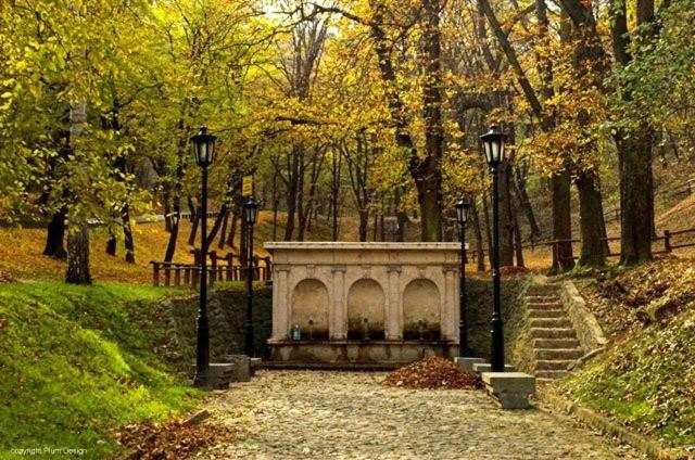 Cozy green house (free parking spot) - Apartman sa 3 Spavaće Sobe - 14