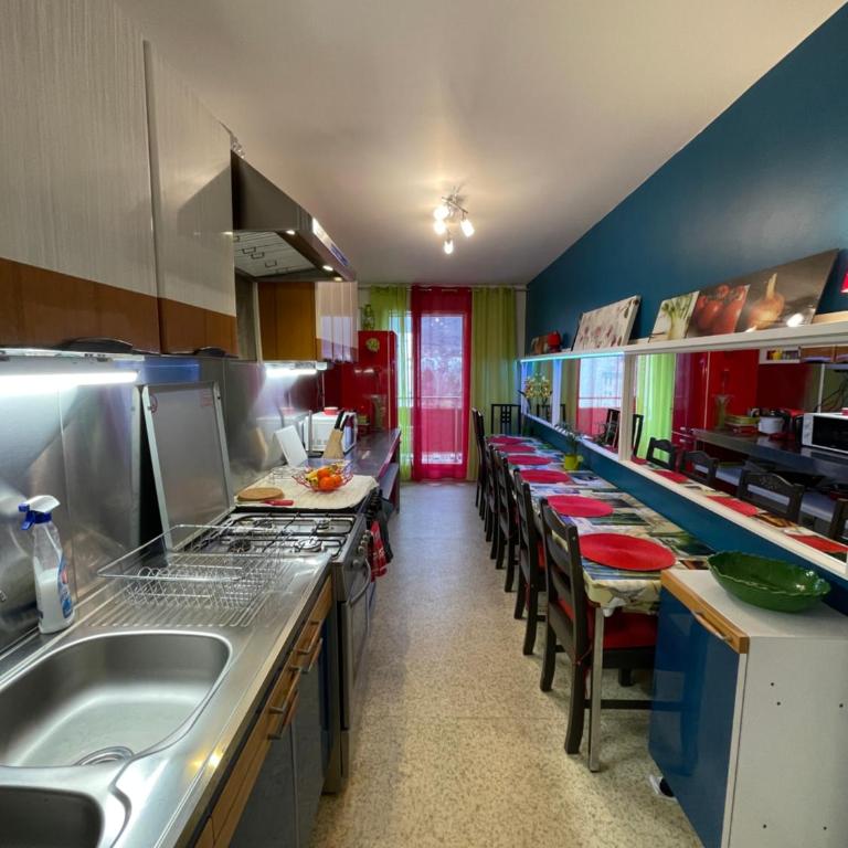 Appartement entier "Meublé le Sancy" proche de toutes commodités - Appartement 3 Chambres - 13
