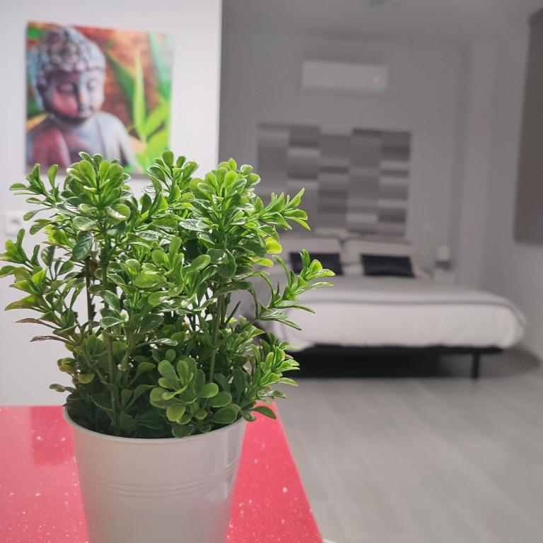 Apartamento Madrid Norte - One-Bedroom Apartment - 1