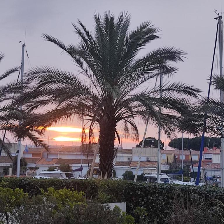 Le Cap Marina - Estudio con vistas al mar - 1