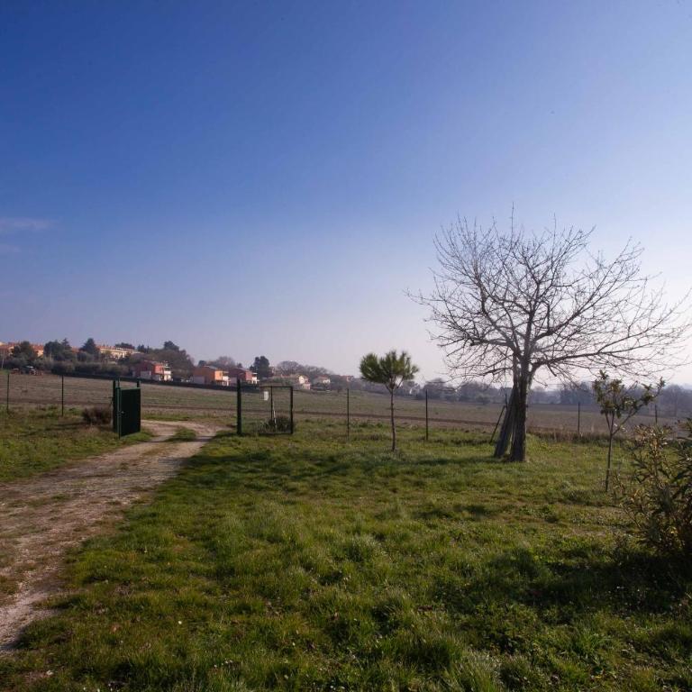 S210 - Sirolo, nuovissimo bilocale vista mare al primo piano - Appartamento con 1 Camera da Letto - 6