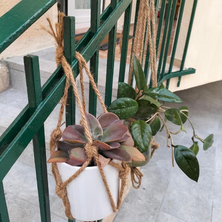 Casetta albalè - Appartement - Rez-de-Chaussée - 12