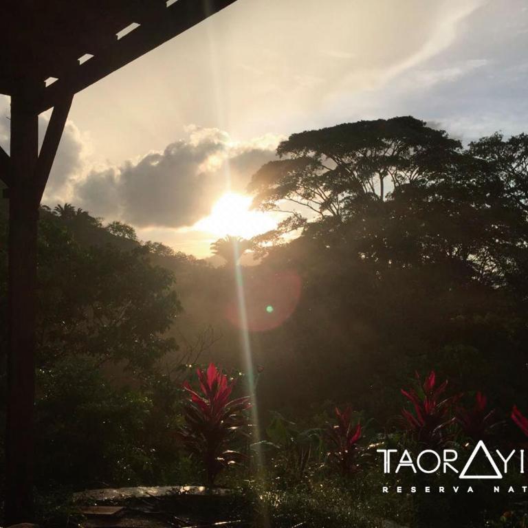 Taorayiná nature lodge- immersed in the forest - Bungalow with Sea View - 26