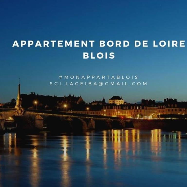 Duplex 60 m2 bord de Loire - Apartment - auf 2 Etagen - 25