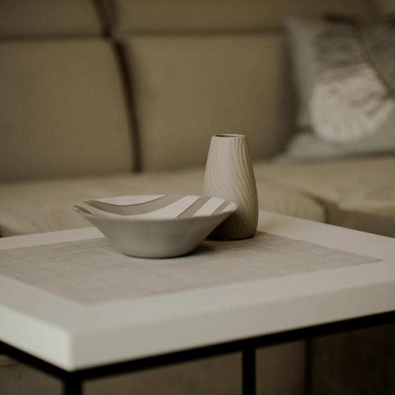 BujRoom apartments - Apartman sa 1 Spavaćom Sobom - 4