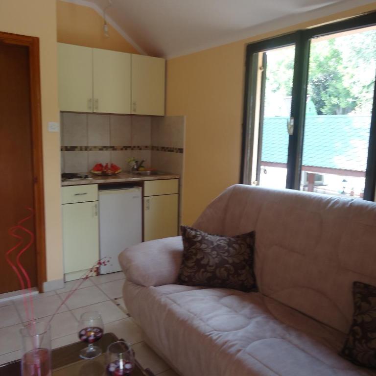 Apartments and Bungalows Mimoza Baošići - One-Bedroom Apartment with Balcony - 6