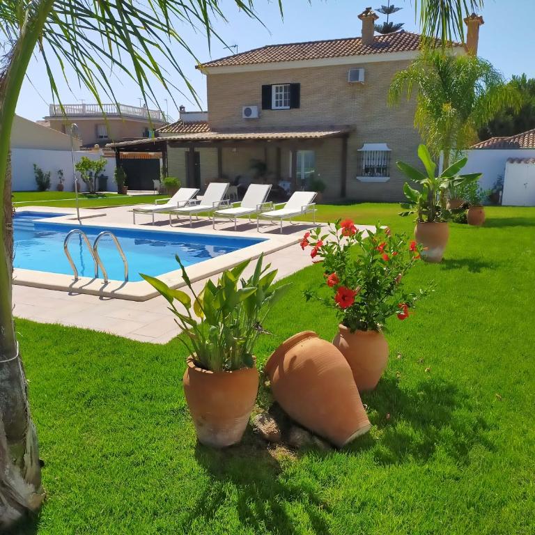 Dunas villa - Villa - 1