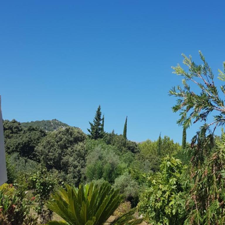 Villa Milagro - 3 bedroom Finca style Villa with Pool near Golf Course/Beaches - Air Cond. - Villa de 3 dormitorios - 32