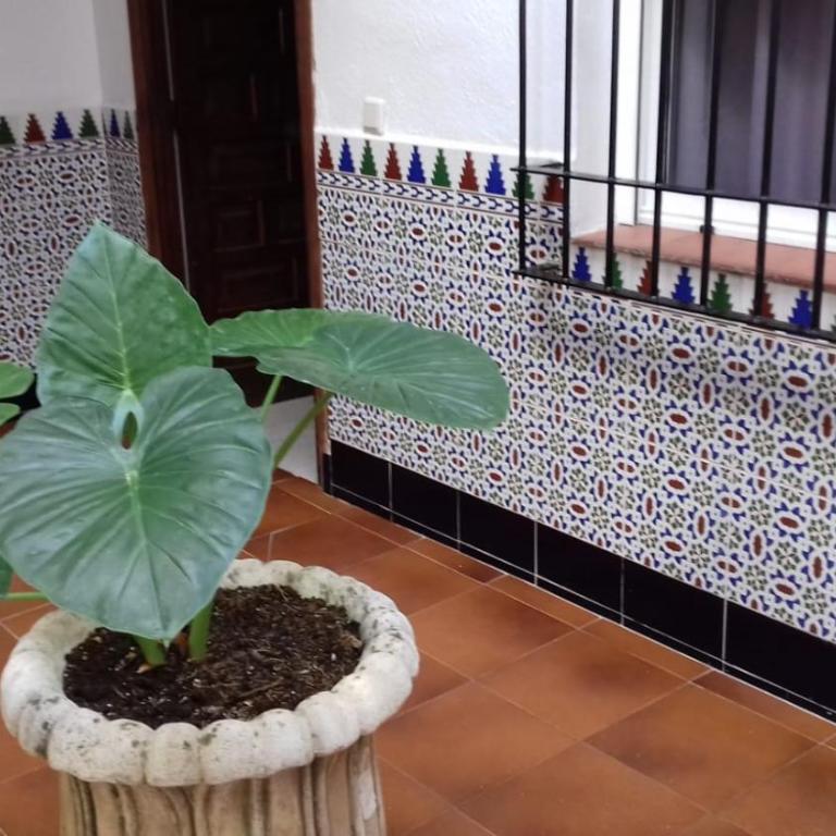 PATIO POMPEYOS - Apartamento de 1 dormitorio - 37
