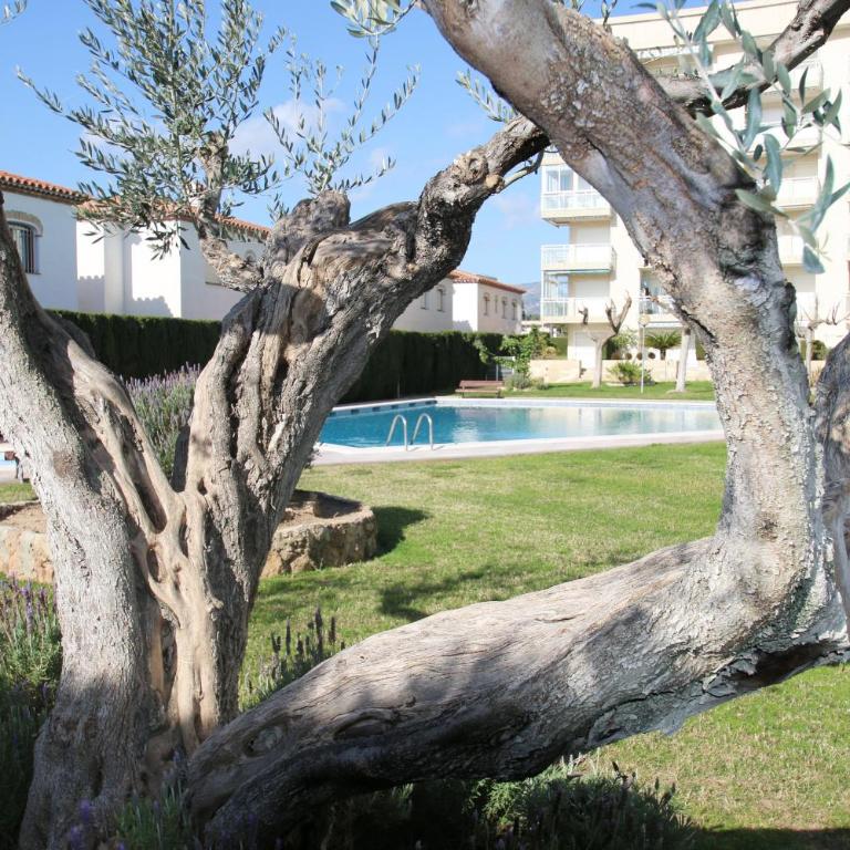 Los Pelicanos - Apartamento - Planta baja - 19