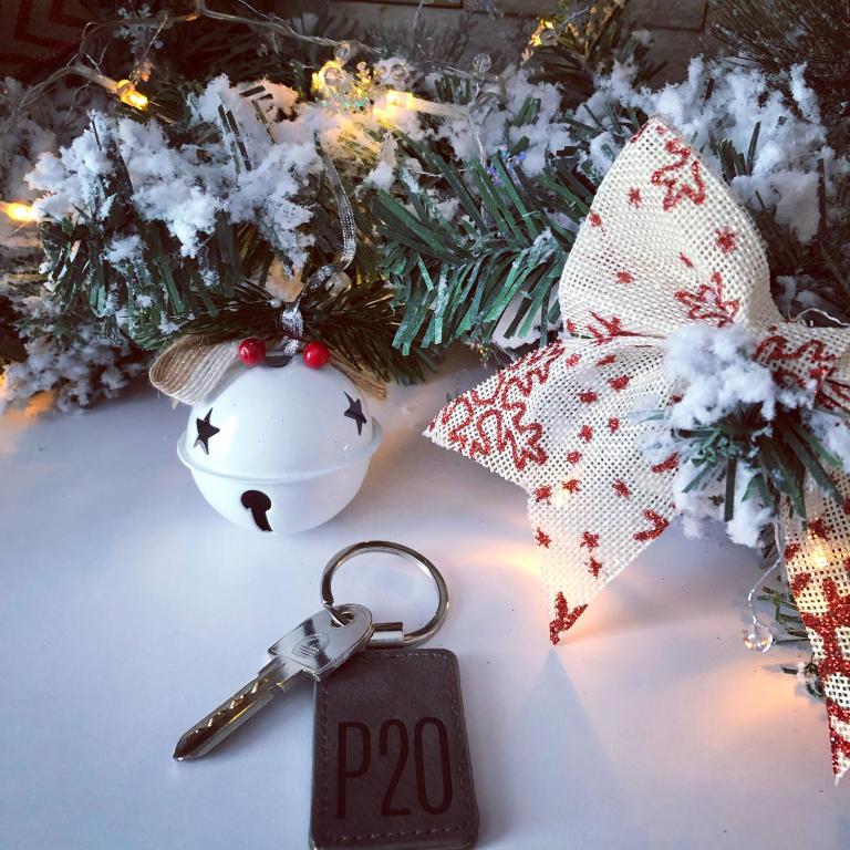 P20 Milmari, DeLuxe Studio, Kopaonik - Deluxe Studio - 12
