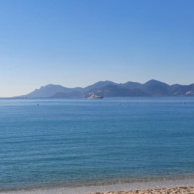 Bel Apt Near Croisette Beach Cannes - Appartement - 18
