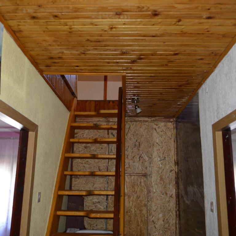 Apartmani Božana Vojinović - Studio - 15