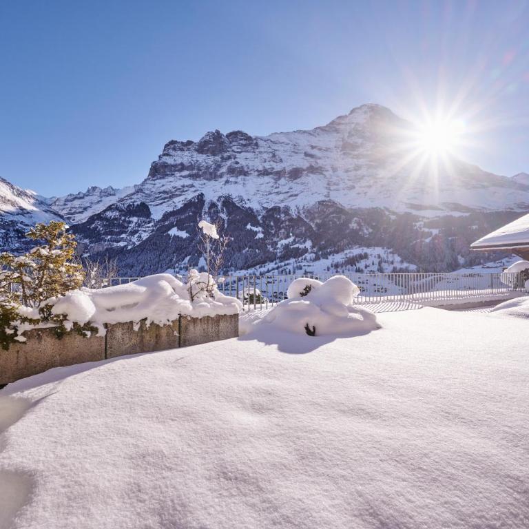 Bielholz - Apartment mit Blick auf die Berge - 24
