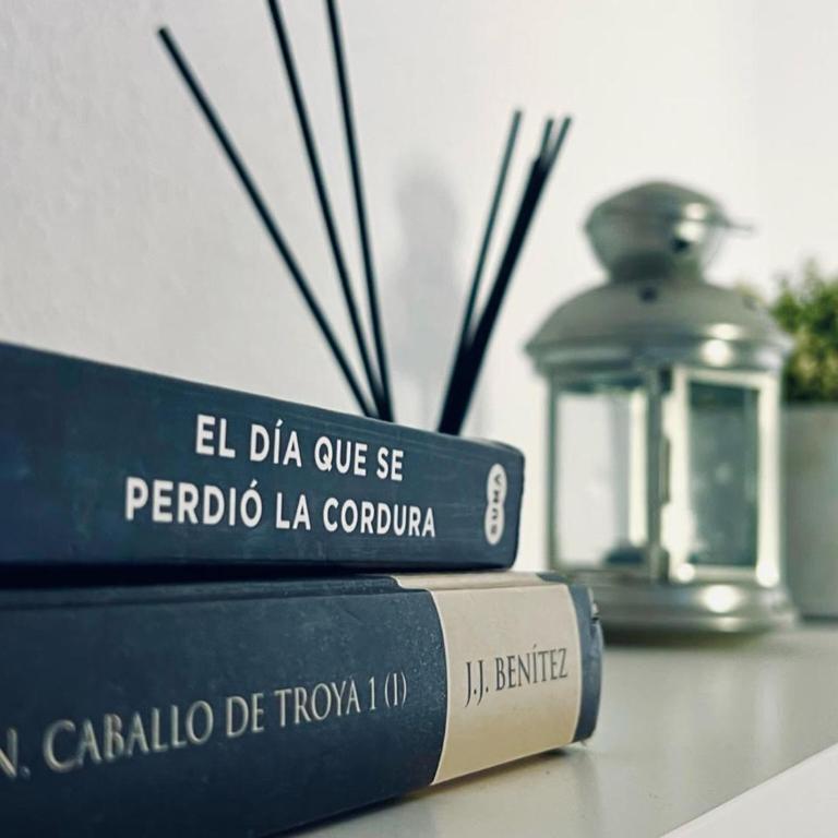 Apartamento Pintor Palomino - Apartamento Estándar - 22