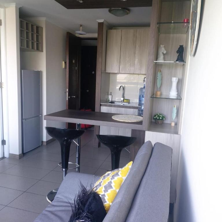 Acogedor Departamento Santiago - One-Bedroom Apartment - 12