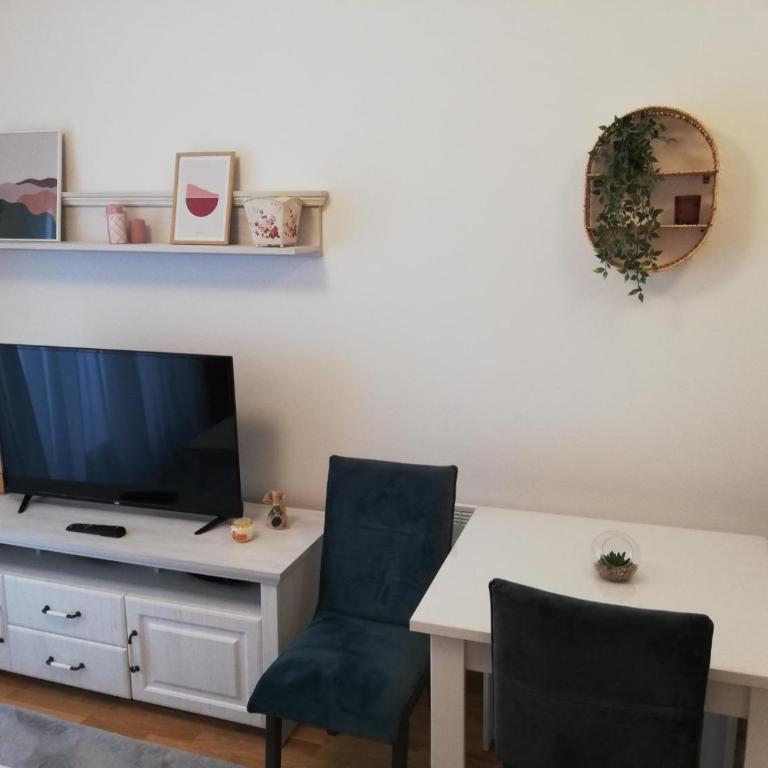 Vila Irina Kopaonik - Studio Apartman - 2
