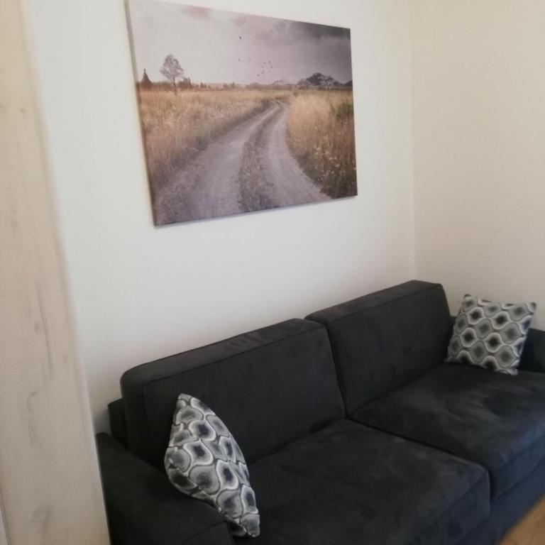 Vila Irina Kopaonik - Studio Apartman - 3