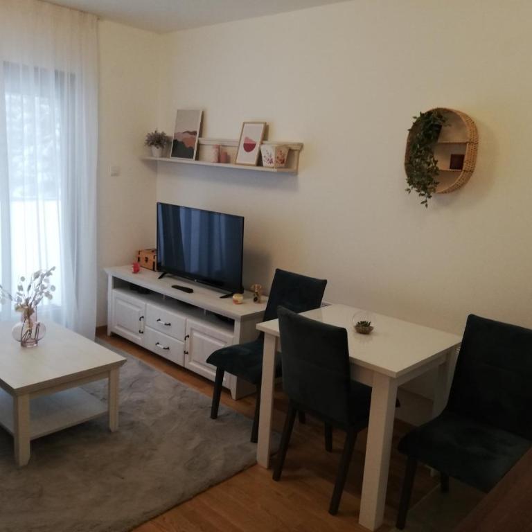 Vila Irina Kopaonik - Studio Apartman - 4