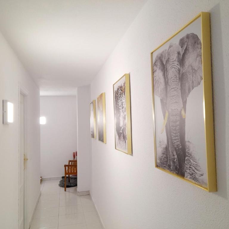 Paraiso, Sea View, Beach - Apartamento de 1 dormitorio - 9