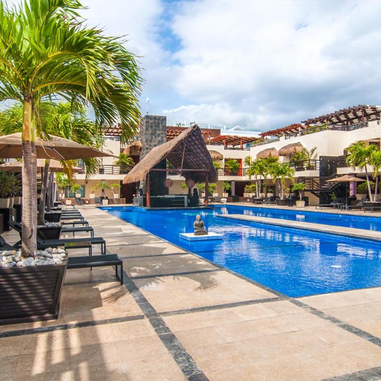 Oceanview Private Rooftop Pool, Steps to Mamitas - Vacation Home - 29