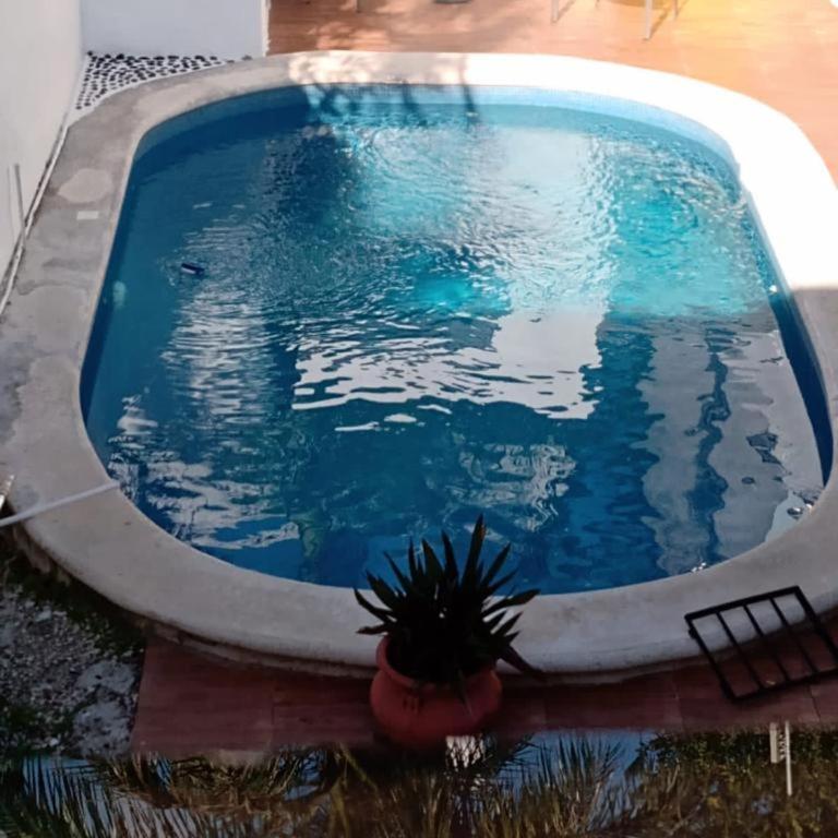 Las Palmas HOSTAL Cancun - Cama en habitación compartida masculina de 4 camas - 3