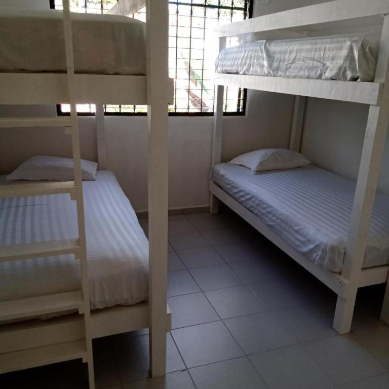 Las Palmas HOSTAL Cancun - Cama en habitación compartida masculina de 4 camas - 5