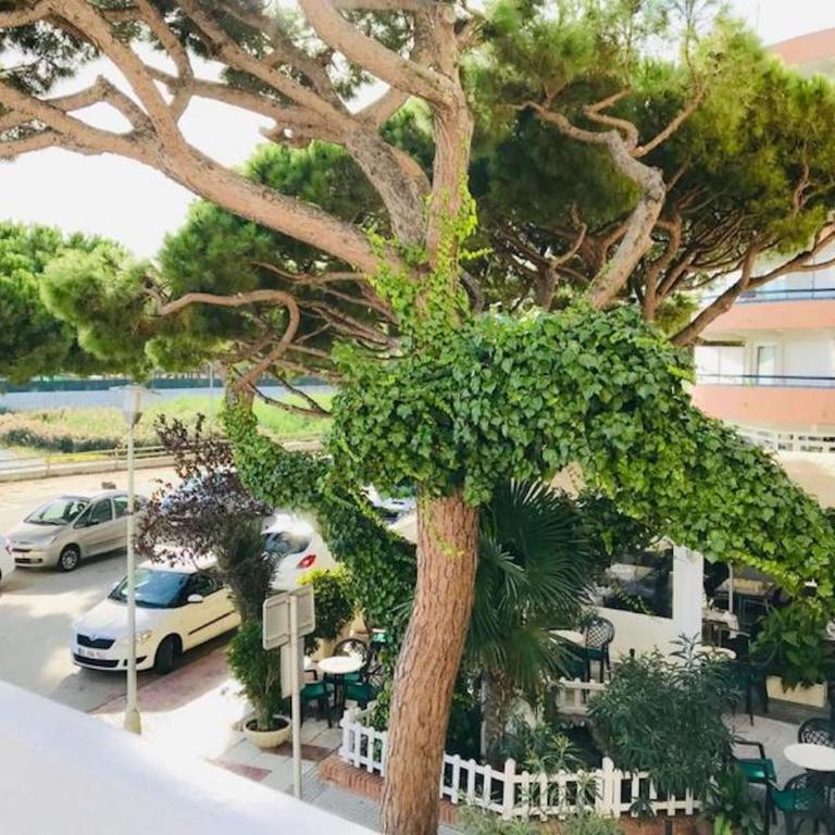 Investingspain Studio beach paradise front sea views on the beach - Estudio - 25