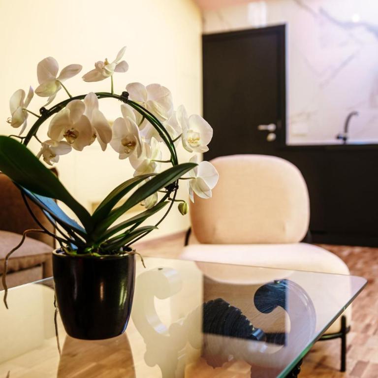 Vitrum - Como Luxury Suites - Suite Superior - 8