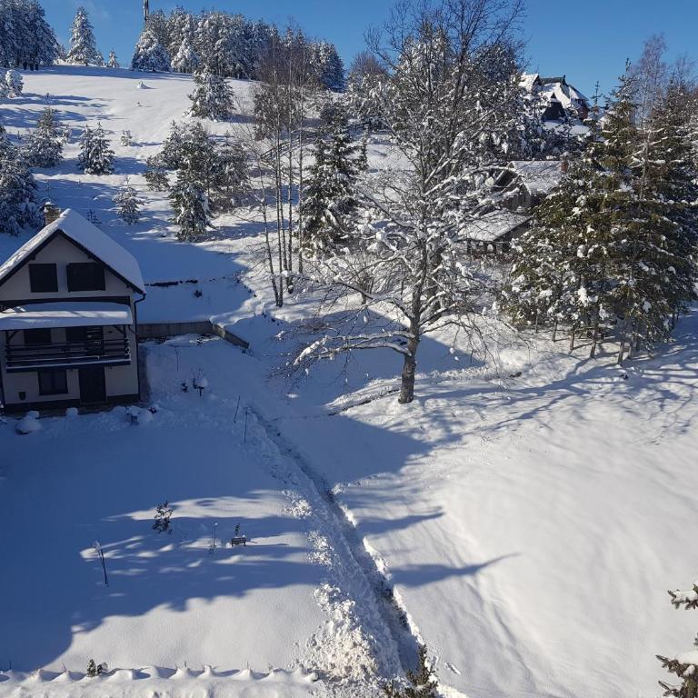 Botanica Zlatibor - Vila sa 3 Spavaće Sobe - 45