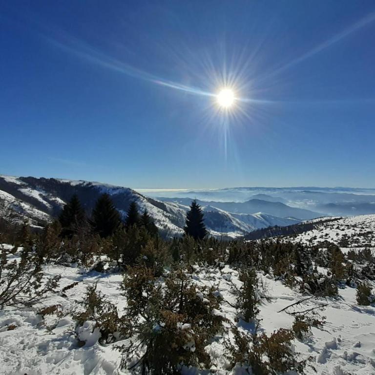 Lux apartmani Dunja Kopaonik Čardaci - WHITE - Apartman sa Pogledom na Planinu - 51
