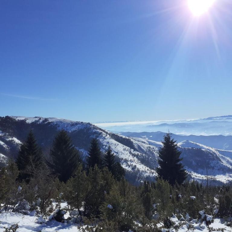 Lux apartmani Dunja Kopaonik Čardaci - WHITE - Apartman sa Pogledom na Planinu - 48