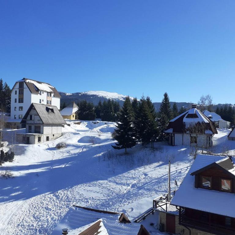 Lux apartmani Dunja Kopaonik Čardaci - WHITE - Apartman sa Pogledom na Planinu - 50