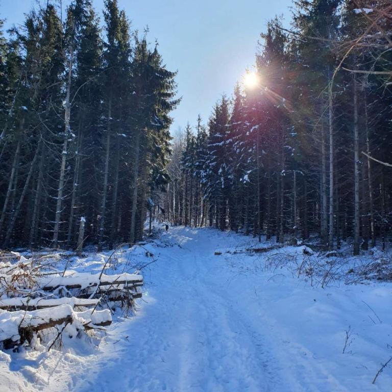 Lux apartmani Dunja Kopaonik Čardaci - WHITE - Apartman sa Pogledom na Planinu - 49