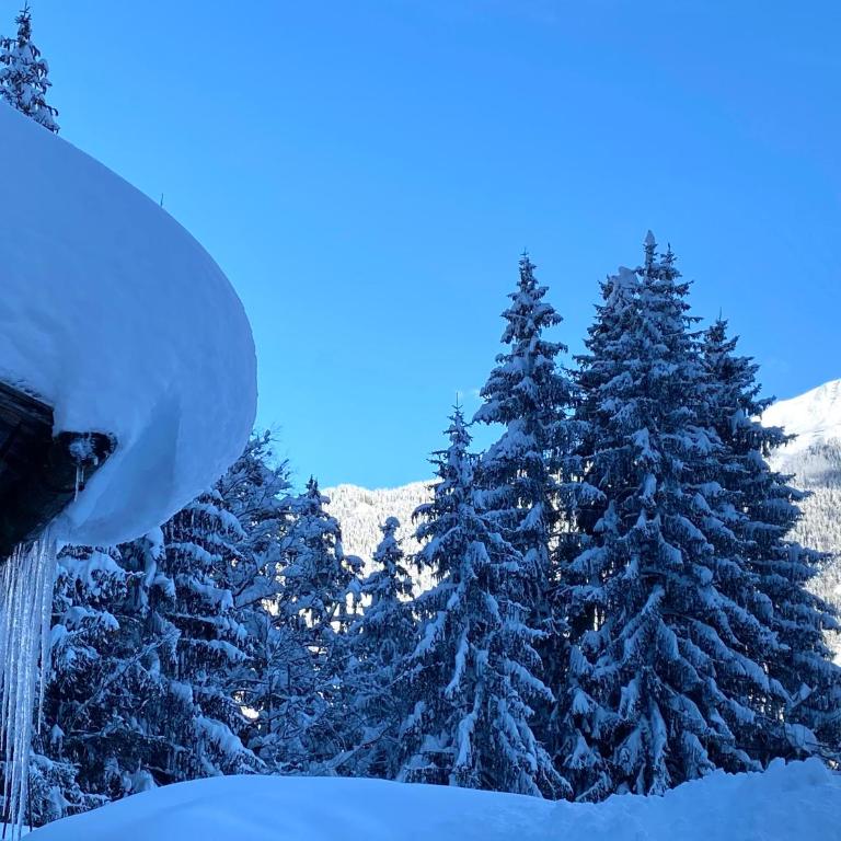 AlpenApart Montafon - Bitschweil Hüsle - Chalet - 26