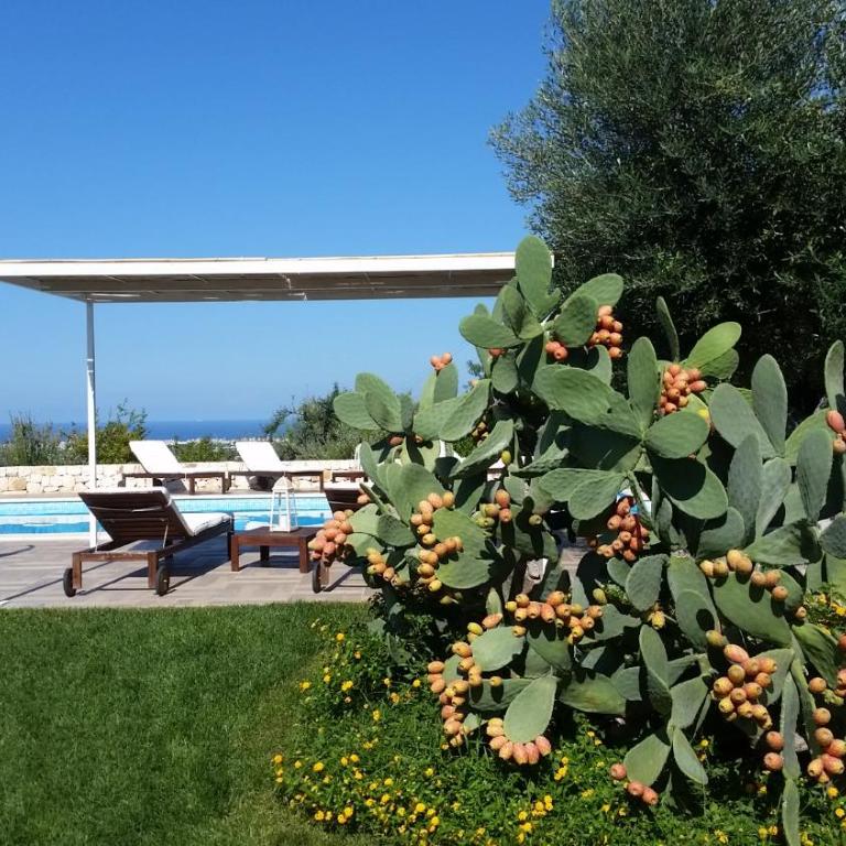 Villa Mest Pepp - Villa con Piscina Privata - 61