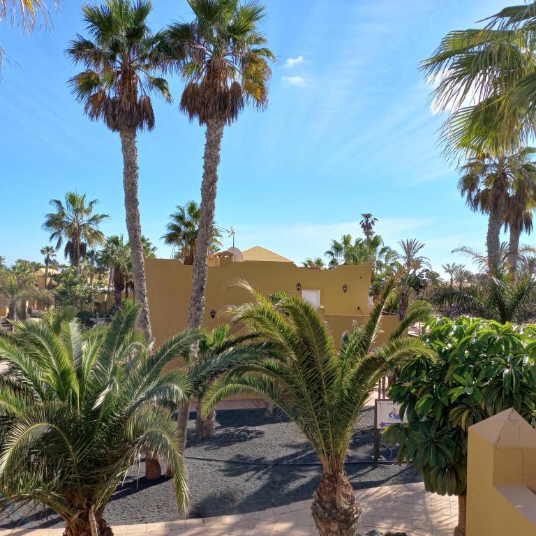 Apartamentos Corralejo Playa Oasis - Apartamento de 2 dormitorios - 13