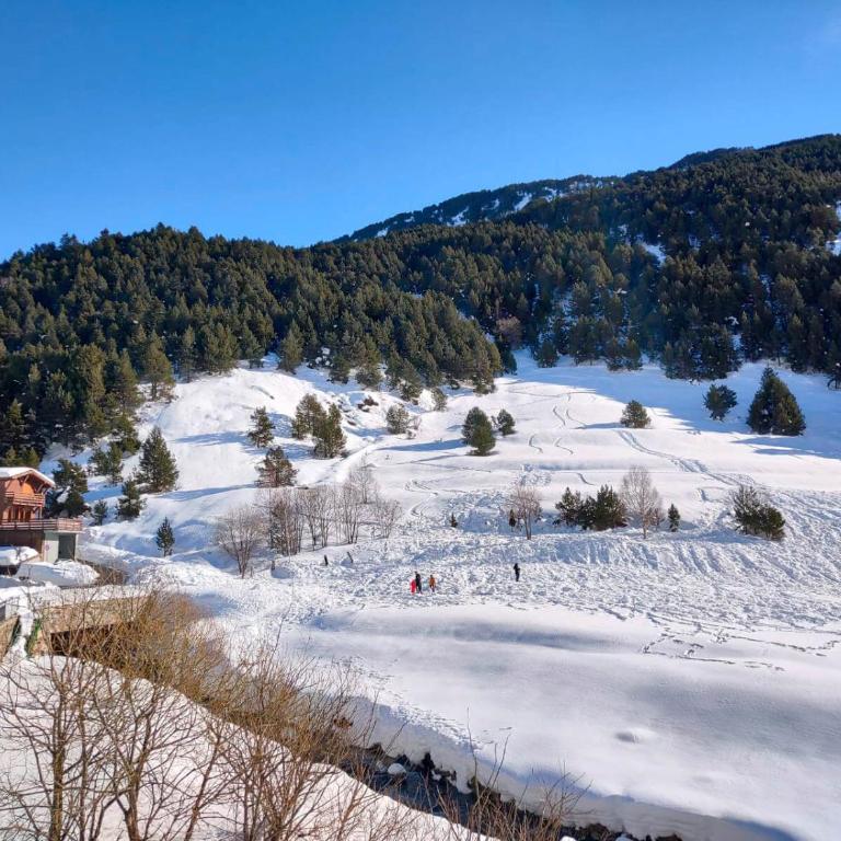 Casita de madera a Peu del Riu Incles - Sol y Nieve - Parking incluido - Chalet de 2 dormitorios - 30